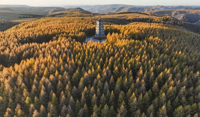 ̸��ɹٷ���վ - רҵ��������ƽ̨